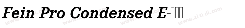 Fein Pro Condensed E字体转换